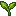 Sprouting Crop - crop_seedling (Canonical image)
